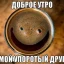 Тарантиныч